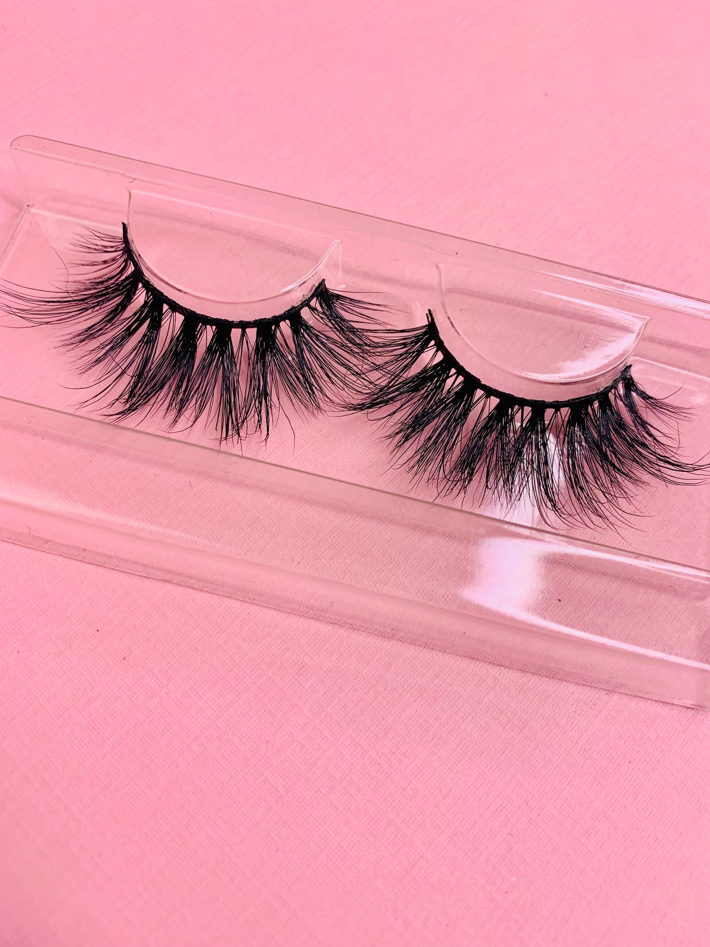 Virgo (21MM) - Prim B.Beauty