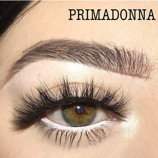 PRIMADONNA - Prim  B.Beauty